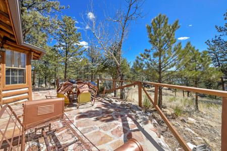 Charming Log Cabin in Lake George, Colorado - image 36