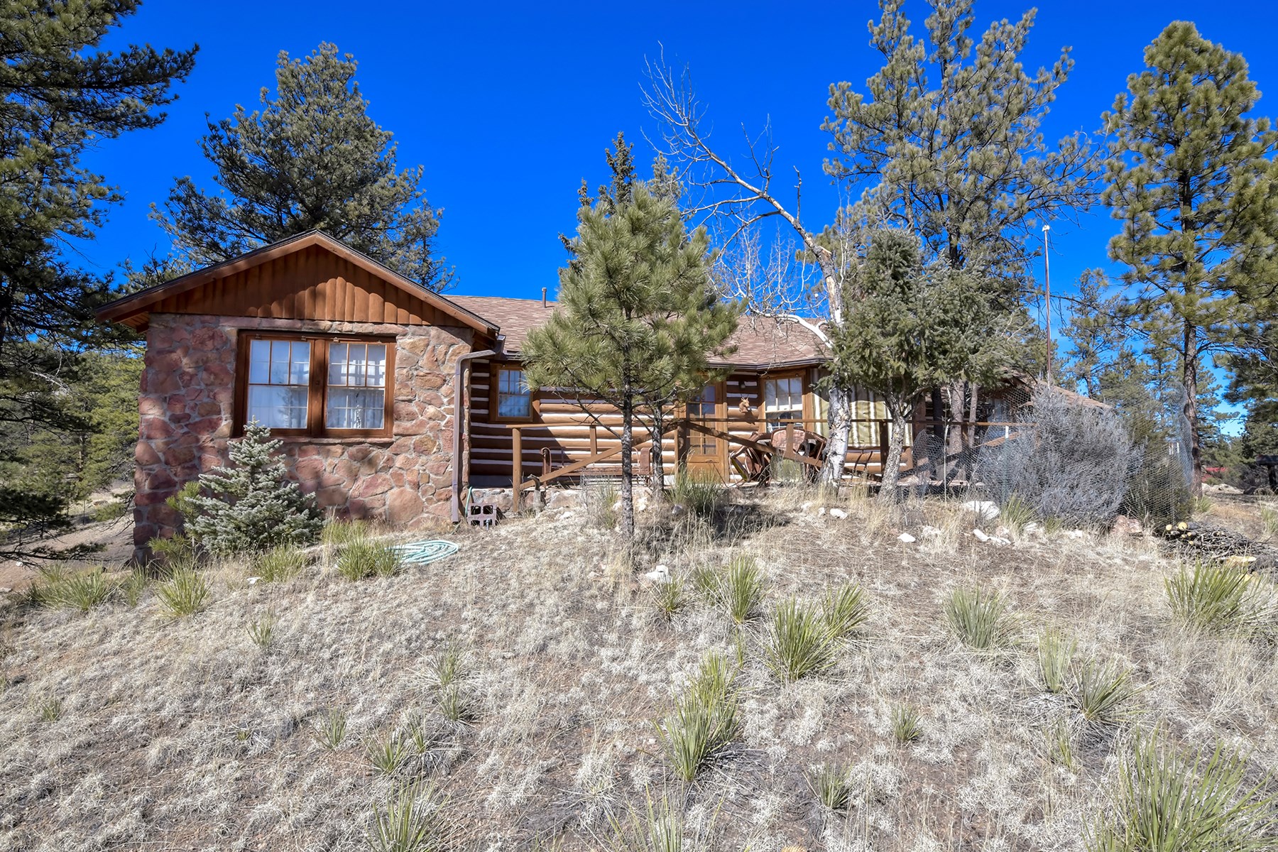 Charming Log Cabin in Lake George, Colorado - image 1