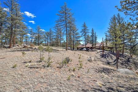 Charming Log Cabin in Lake George, Colorado - image 21