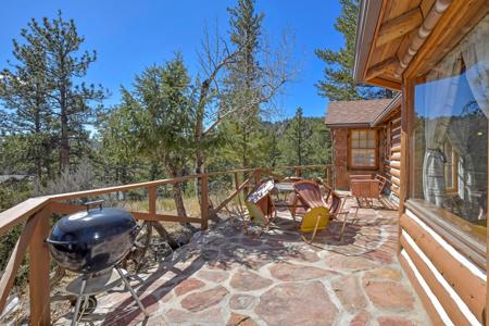 Charming Log Cabin in Lake George, Colorado - image 29