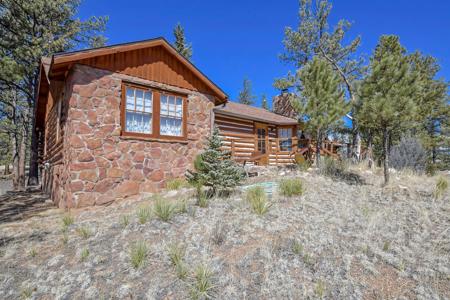 Charming Log Cabin in Lake George, Colorado - image 32