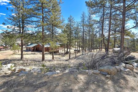 Charming Log Cabin in Lake George, Colorado - image 26