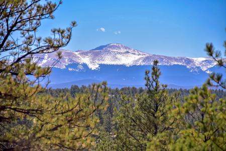 Charming Log Cabin in Lake George, Colorado - image 15