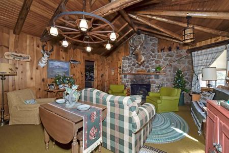 Charming Log Cabin in Lake George, Colorado - image 7