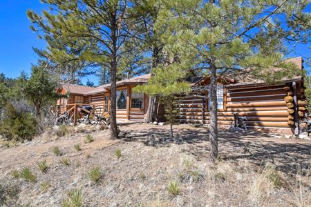 Charming Log Cabin in Lake George, Colorado - image 37