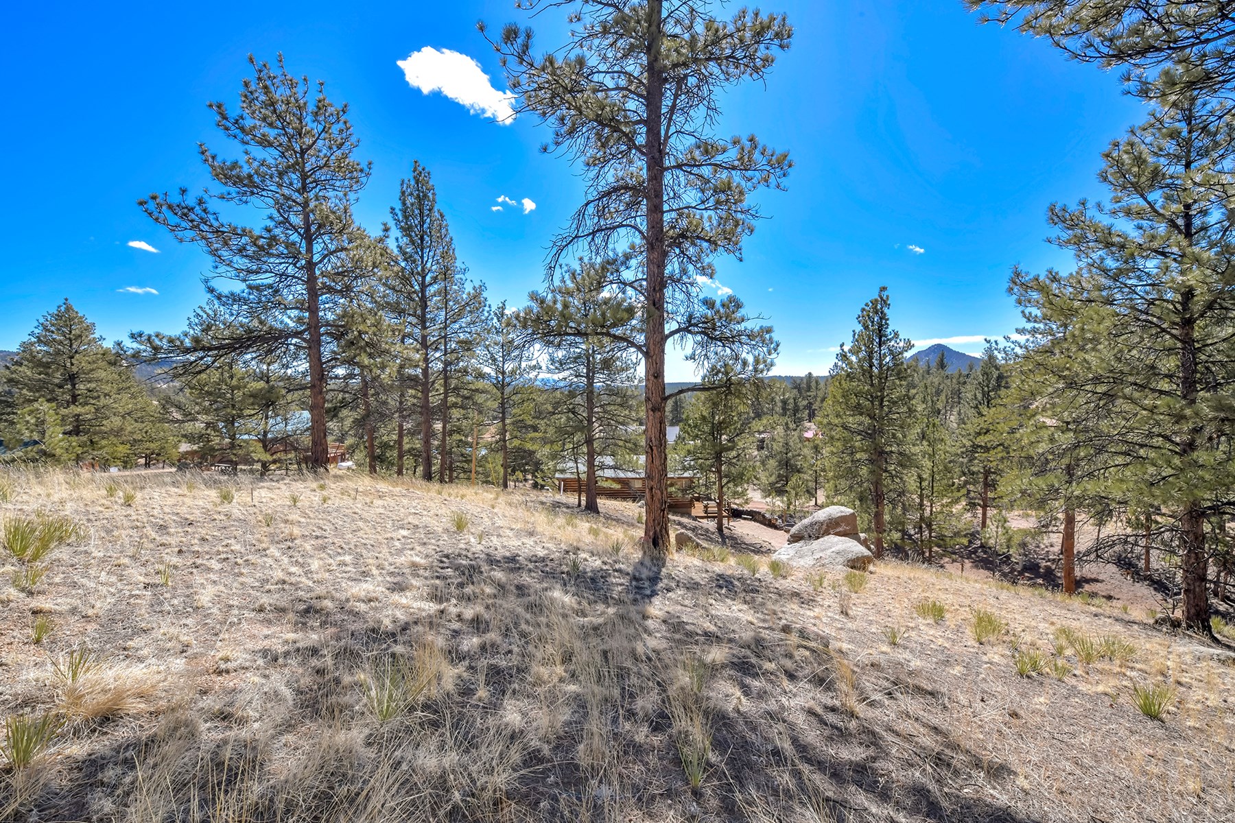 Charming Log Cabin in Lake George, Colorado - image 33