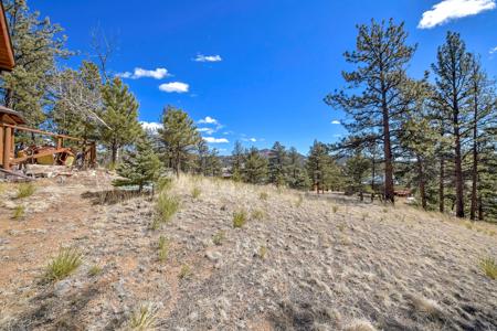 Charming Log Cabin in Lake George, Colorado - image 34