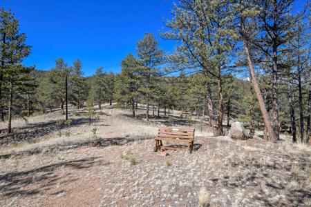 Charming Log Cabin in Lake George, Colorado - image 25