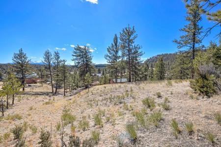 Charming Log Cabin in Lake George, Colorado - image 30