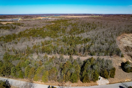 Missouri Development and Recreational Land Auction - image 1