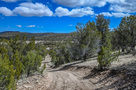 Assumable VA Loan at 2.9% - Mountain Property in Arizona - image 14