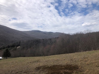 Recreational Land for Sale in Grayson County VA - image 14