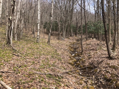 Recreational Land for Sale in Grayson County VA - image 10