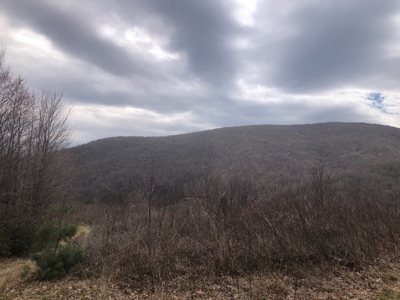 Recreational Land for Sale in Grayson County VA - image 18