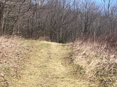 Recreational Land for Sale in Grayson County VA - image 3