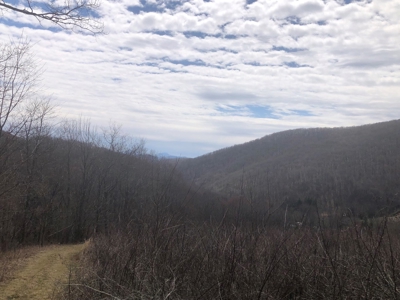 Recreational Land for Sale in Grayson County VA - image 7