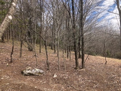 Recreational Land for Sale in Grayson County VA - image 11