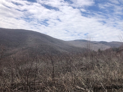 Recreational Land for Sale in Grayson County VA - image 4