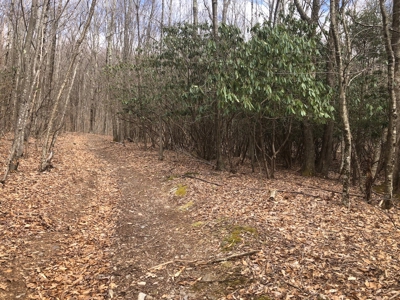 Recreational Land for Sale in Grayson County VA - image 15