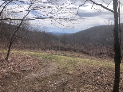 Recreational Land for Sale in Grayson County VA - image 12