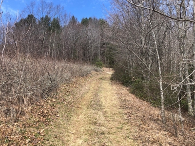 Recreational Land for Sale in Grayson County VA - image 6