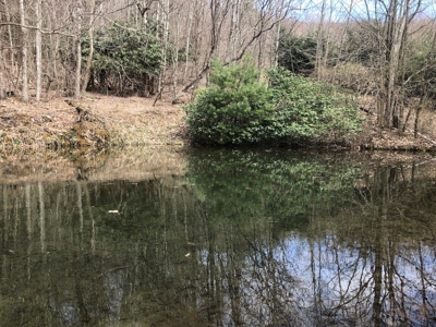Recreational Land for Sale in Grayson County VA - image 8