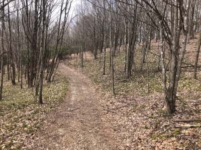 Recreational Land for Sale in Grayson County VA - image 17