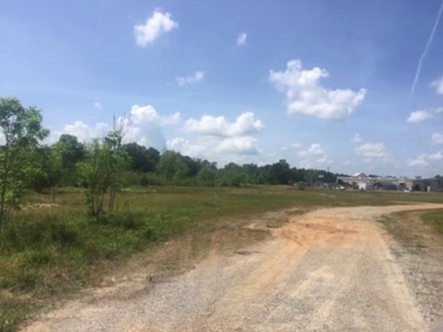 Dallas  County Commercial Acreage Near Selma Alabama - image 2