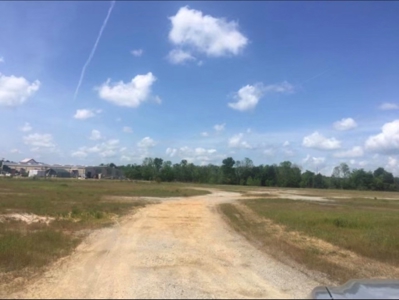 Dallas  County Commercial Acreage Near Selma Alabama - image 3