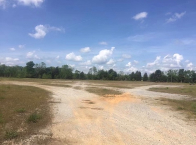 Dallas  County Commercial Acreage Near Selma Alabama - image 4