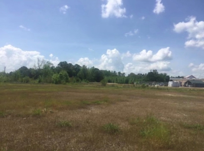 Dallas  County Commercial Acreage Near Selma Alabama - image 5