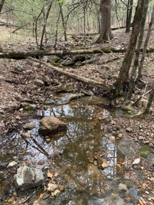 Well, Septic, Underground Electric On 67 Acres - image 15