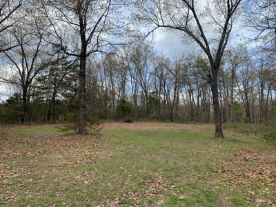 Well, Septic, Underground Electric On 67 Acres - image 8
