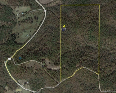 Well, Septic, Underground Electric On 67 Acres - image 2