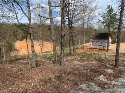 Well, Septic, Underground Electric On 67 Acres - image 16