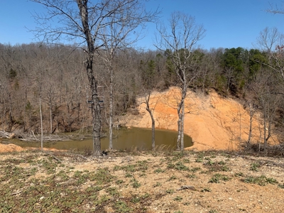Well, Septic, Underground Electric On 67 Acres - image 4
