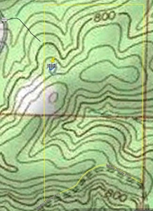 Well, Septic, Underground Electric On 67 Acres - image 3