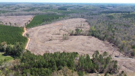 Buy Land In Southern VA - image 33