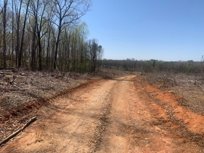 Buy Land In Southern VA - image 30