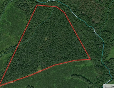 Buy Land In Southern VA - image 29