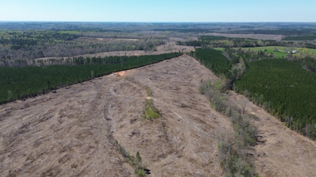 Buy Land In Southern VA - image 37