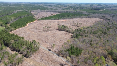 Buy Land In Southern VA - image 32