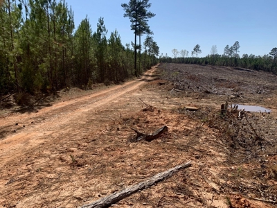Buy Land In Southern VA - image 23
