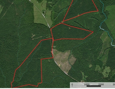 Buy Land In Southern VA - image 1