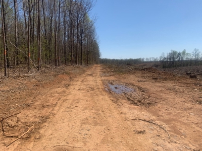 Buy Land In Southern VA - image 16