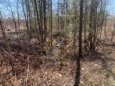 Buy Land In Southern VA - image 12