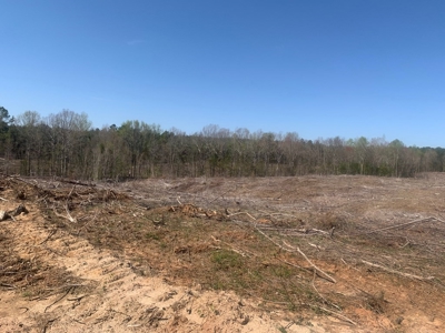 Buy Land In Southern VA - image 7