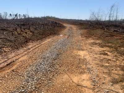 Buy Land In Southern VA - image 17