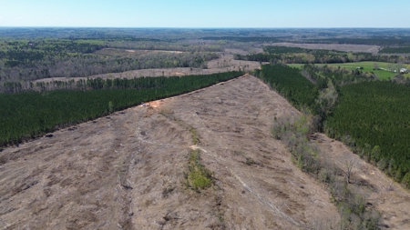 Buy Land In Southern VA - image 36