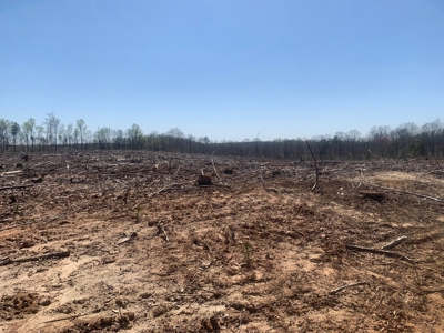 Buy Land In Southern VA - image 10